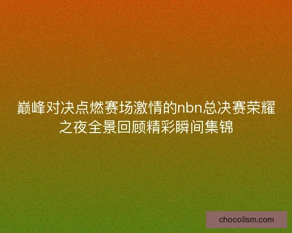 巅峰对决点燃赛场激情的nbn总决赛荣耀之夜全景回顾精彩瞬间集锦