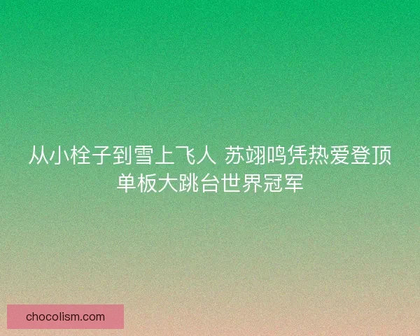 从小栓子到雪上飞人 苏翊鸣凭热爱登顶单板大跳台世界冠军