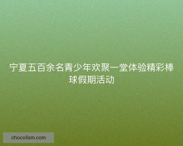 宁夏五百余名青少年欢聚一堂体验精彩棒球假期活动